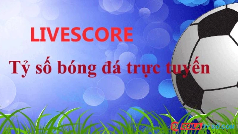 Sơ lược về 7m livescore