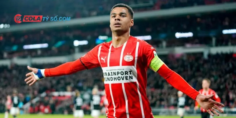 Cody Gakpo tại câu lạc bộ PSV Eindhoven